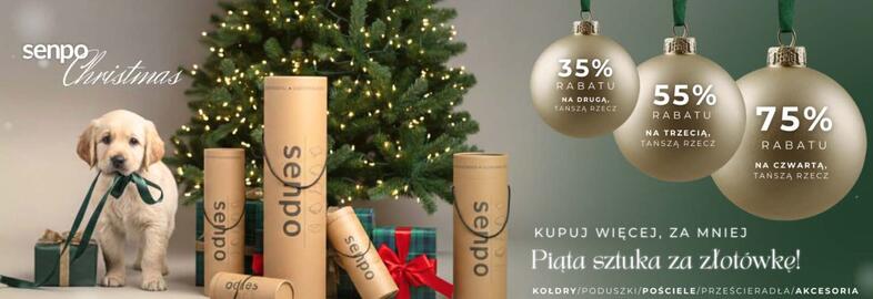 Senpo gazetka tydzień 50 Strona 11