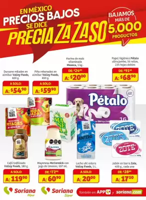 Catálogo Soriana Súper (válido hasta 31-12)
