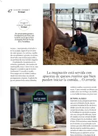 Catálogo El Corte Inglés Página 47