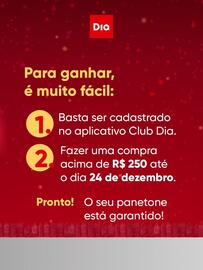 Tabloide Dia Página 2