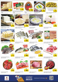 Nesto catalogue Page 9