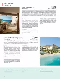 Catálogo Catai Página 142