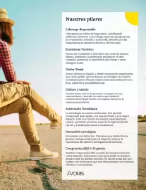 Catálogo Catai Página 3