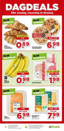 PLUS folder Pagina 45