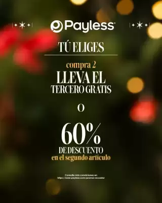 Catálogo Payless (válido hasta 31-12)