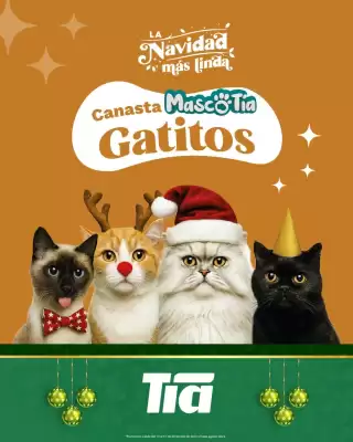 Catálogo Tia (válido hasta 31-12)