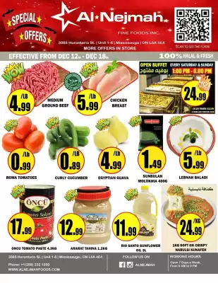 Alnejmah flyer (valid until 18-12)