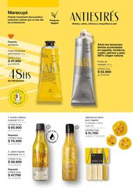 Catálogo Natura Página 107