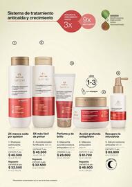 Catálogo Natura Página 124