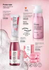 Catálogo Natura Página 99