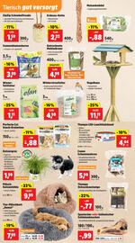 Thomas Philipps Prospekt woche 51 Seite 12