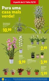 Folheto Lidl | Novidades Página 24