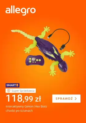 Allegro gazetka (ważność do 18-12)