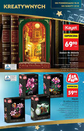 Biedronka gazetka Strona 17