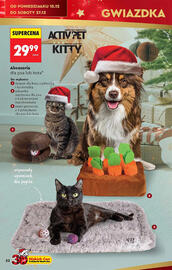 Biedronka gazetka Strona 22