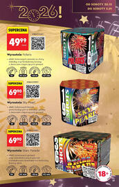 Biedronka gazetka Strona 31