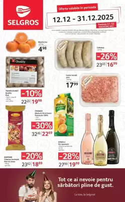 Catalog Selgros (valid până la 31-12)