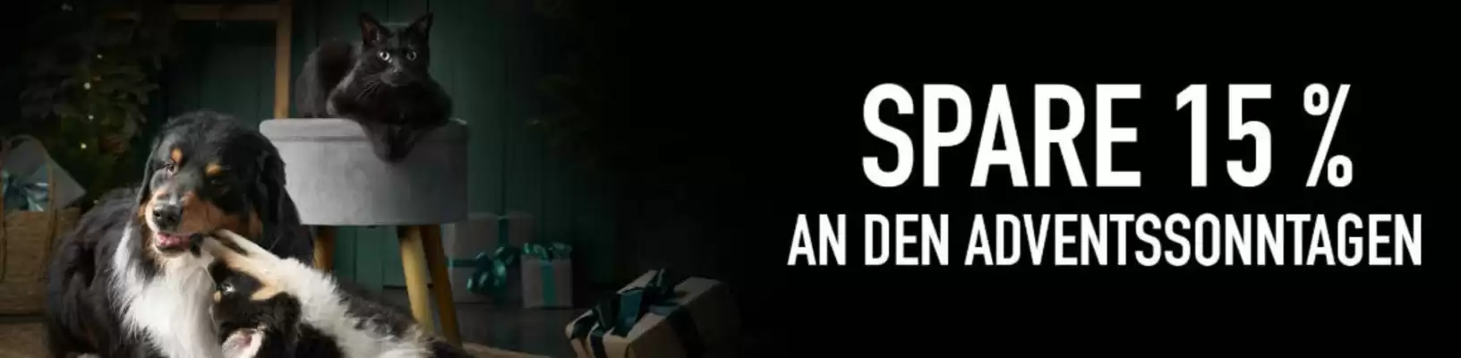 Kölle Zoo Prospekt (gültig bis 16-12)