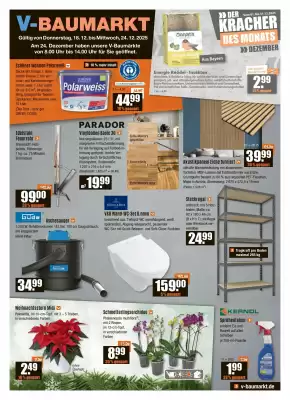 V Baumarkt Prospekt (gültig bis 24-12)