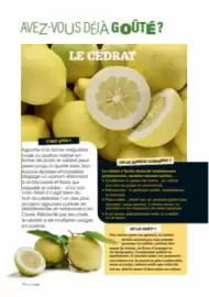 Catalogue Grand Frais page 68