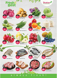 Shaklan leaflet Page 2