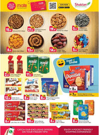 Shaklan leaflet Page 4