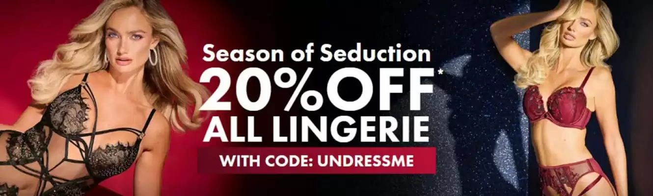 Ann Summers catalogue (valid until 15-12)