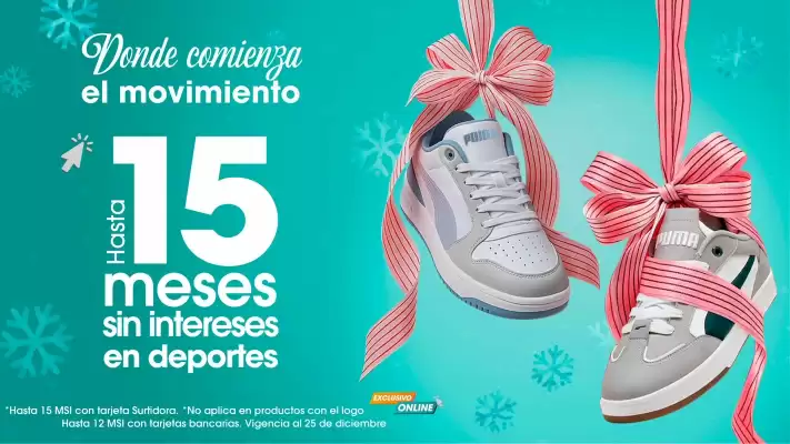 Catálogo Surtidora Departamental (válido hasta 25-12)