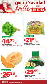 Folleto HEB Página 15