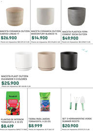 Catálogo Jumbo Página 13