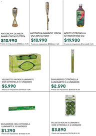 Catálogo Jumbo Página 14