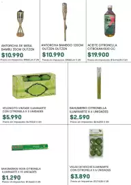 Catálogo Jumbo Página 14