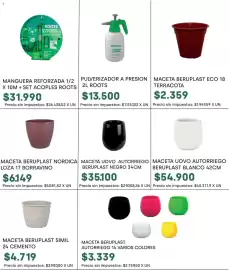 Catálogo Jumbo Página 15