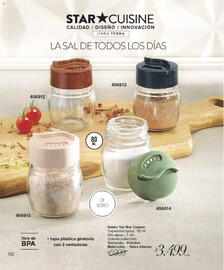 Catálogo Violetta Cosméticos Página 102