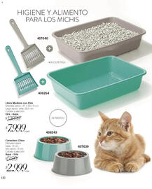 Catálogo Violetta Cosméticos Página 120