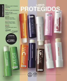 Catálogo Violetta Cosméticos Página 40