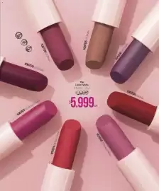 Catálogo Violetta Cosméticos Página 11