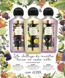 Catálogo Violetta Cosméticos Página 53