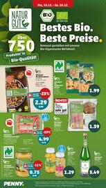 PENNY Prospekt woche 51 Seite 16