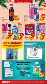 PENNY Prospekt woche 51 Seite 30