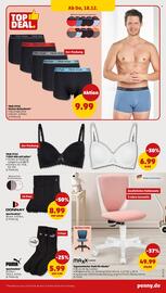 PENNY Prospekt woche 51 Seite 37