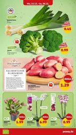 PENNY Prospekt woche 51 Seite 5