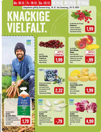 Feneberg Prospekt Seite 5