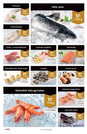 Cora folder Pagina 8