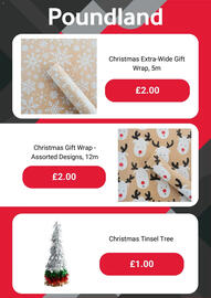Poundland leaflet Page 5