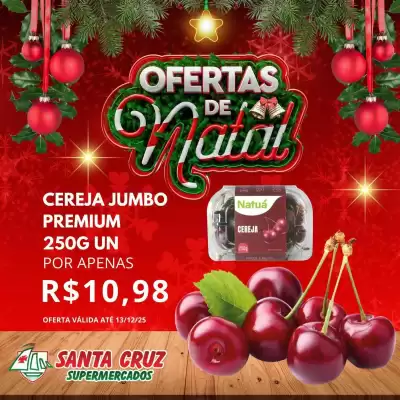 Catálogo Santa Cruz Supermercados (válido até 13-12)