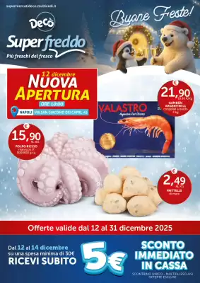 Volantino Deco Superfreddo (valido fino al 31-12)