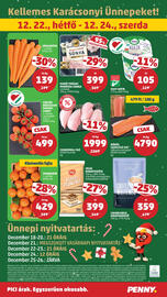 PENNY akciós újság hét 51 Oldal 32