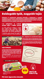 PENNY akciós újság hét 51 Oldal 33