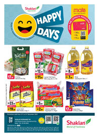 Shaklan leaflet Page 1